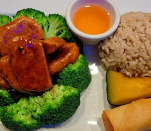 L18. Orange Vegan Beef Lunch (Spicy) $15.00 Sautéed breaded medallions of seitan in a spicy citrus sauce on a bed of broccoli